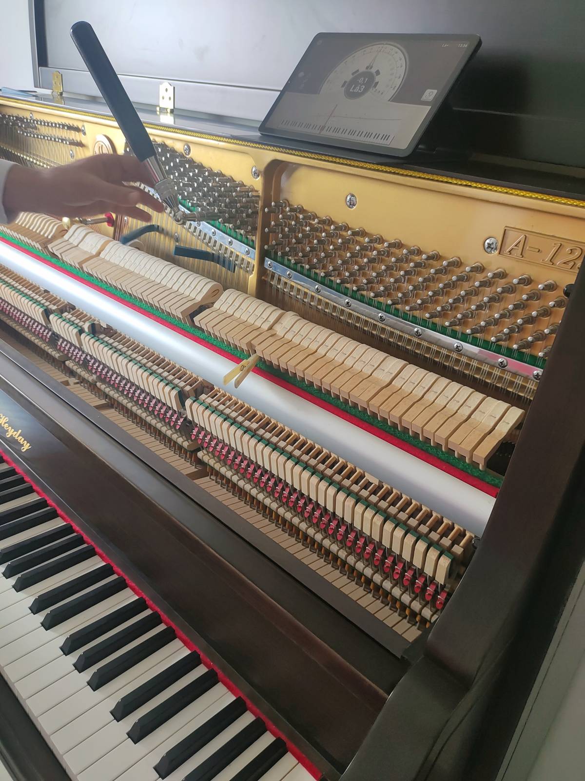 Piano Tuner