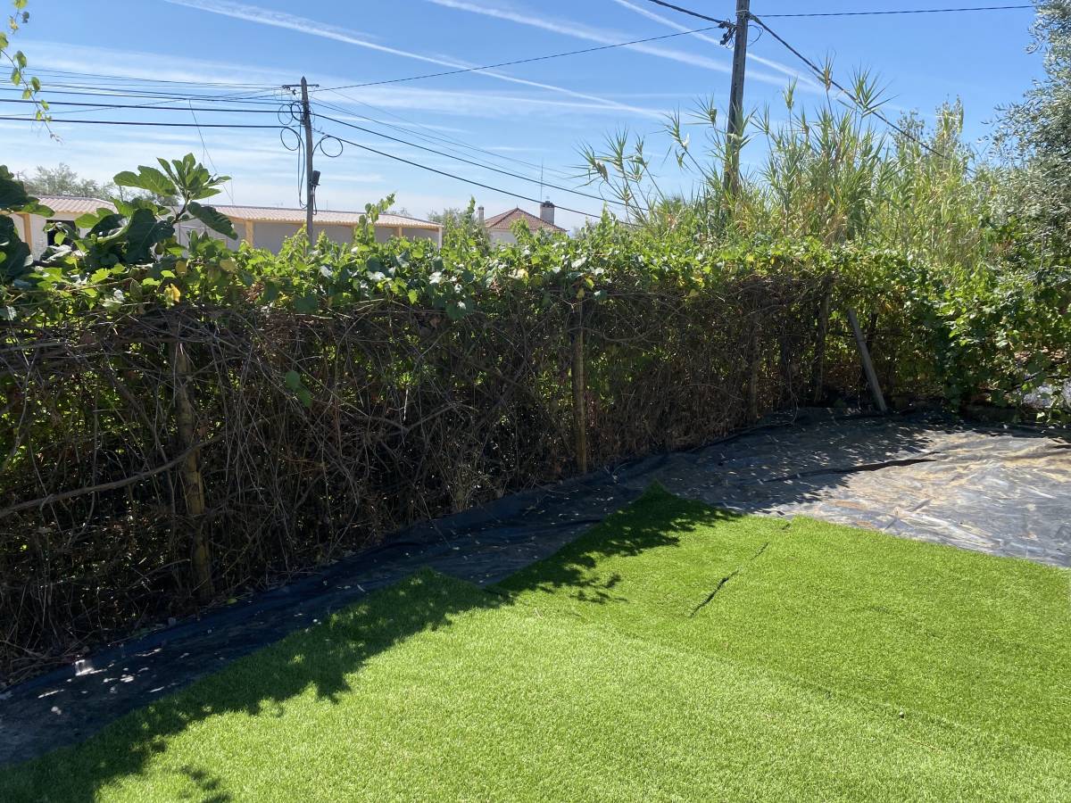 Arbor Nature - Coruche - Nivelação de Terreno - Grande Dimensão (mais de 1 hectar)