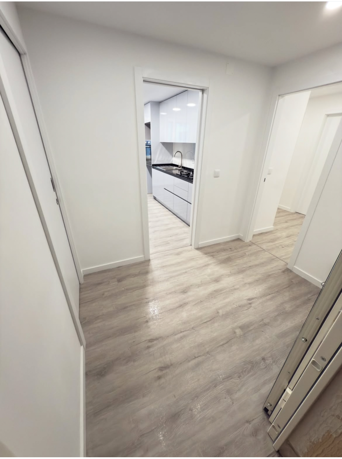 VSHOME - REMODELAÇÕES, LDA - Alcobaça - Remoção de Tronco de Árvore
