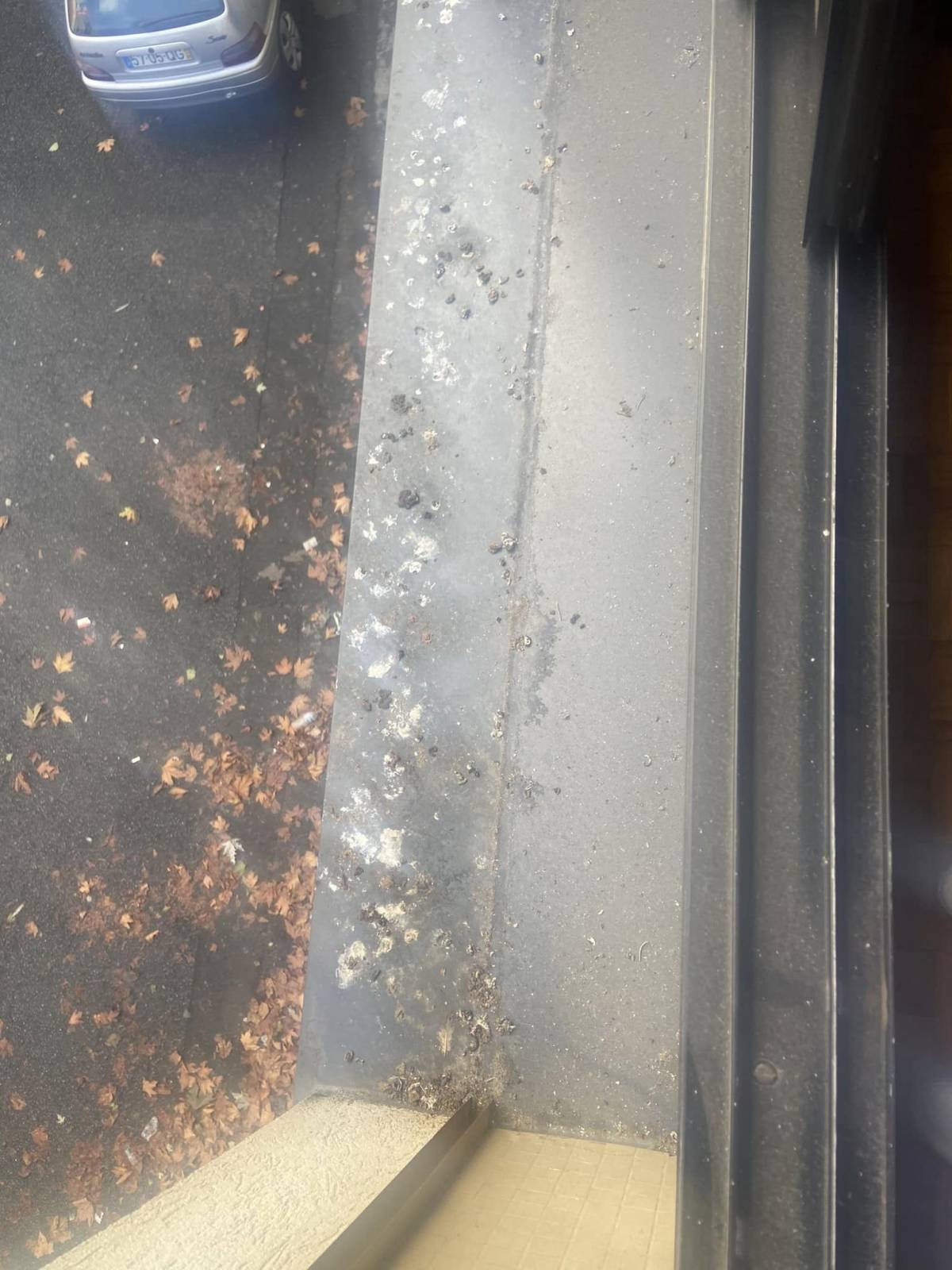 LIMPEX - Braga - Deep or Spring Cleaning