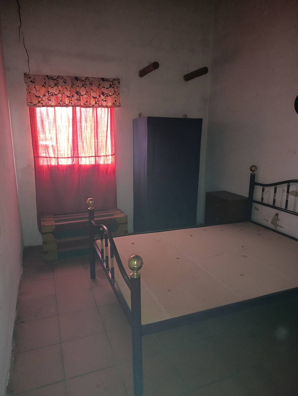 Luana - Estremoz - Nettoyage de tapis