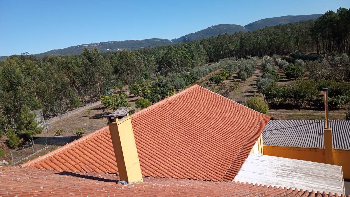 Claudio - Figueira da Foz - Roof Installation or Replacement