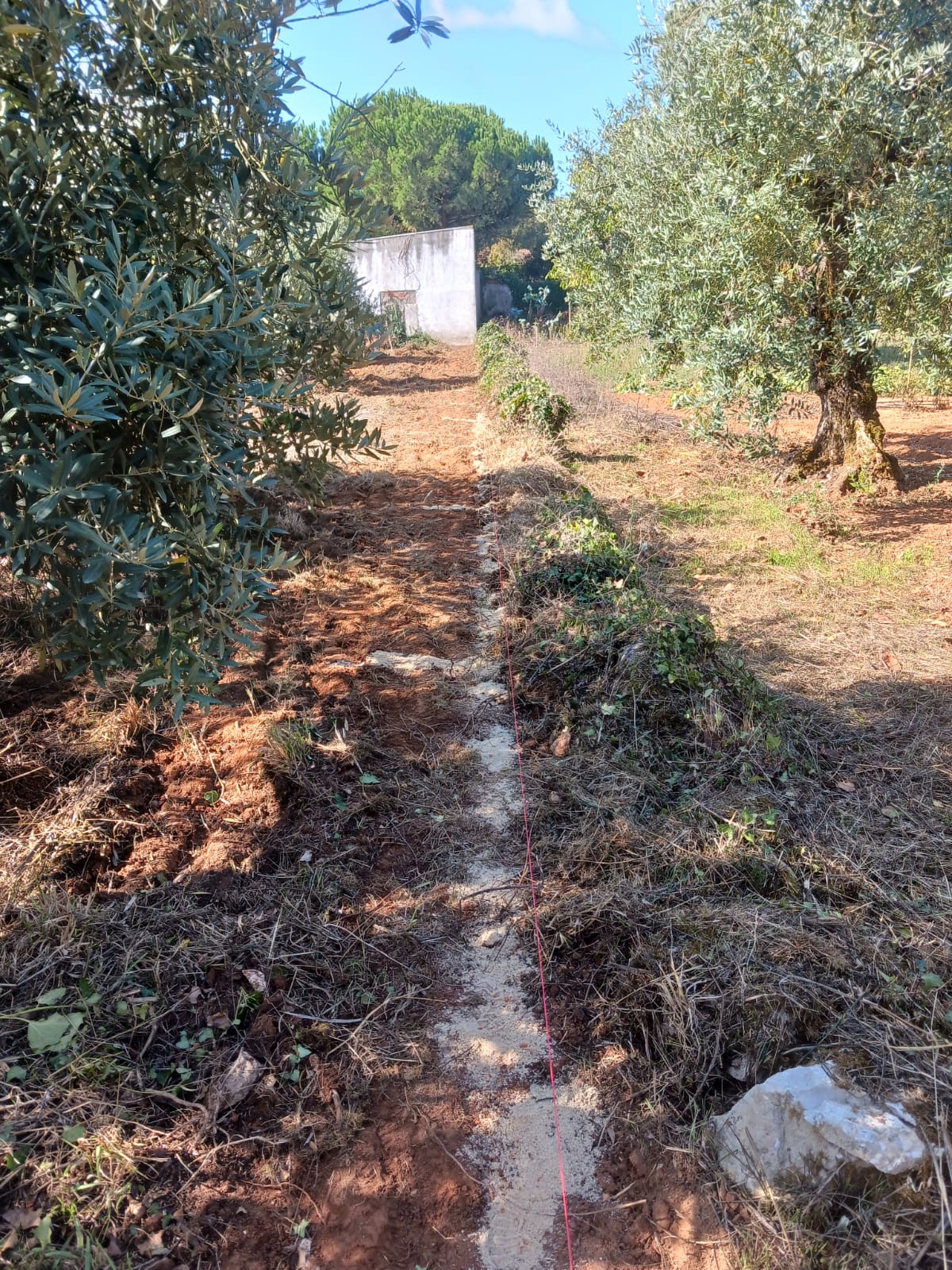 VSHOME - REMODELAÇÕES, LDA - Alcobaça - Remoção de Ervas Daninhas