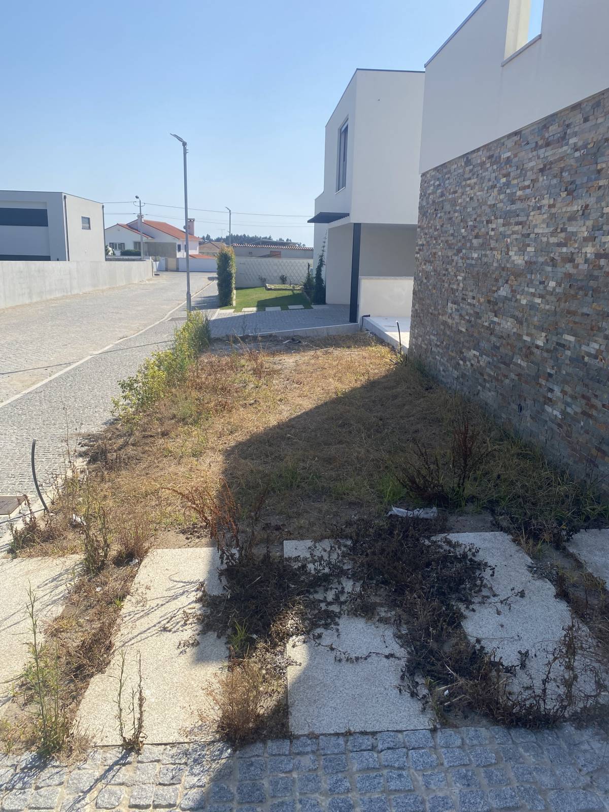 Leandro Coutinho - Esposende - Nivelación y clasificación de tierras: a gran escala (más de 4000 m2)