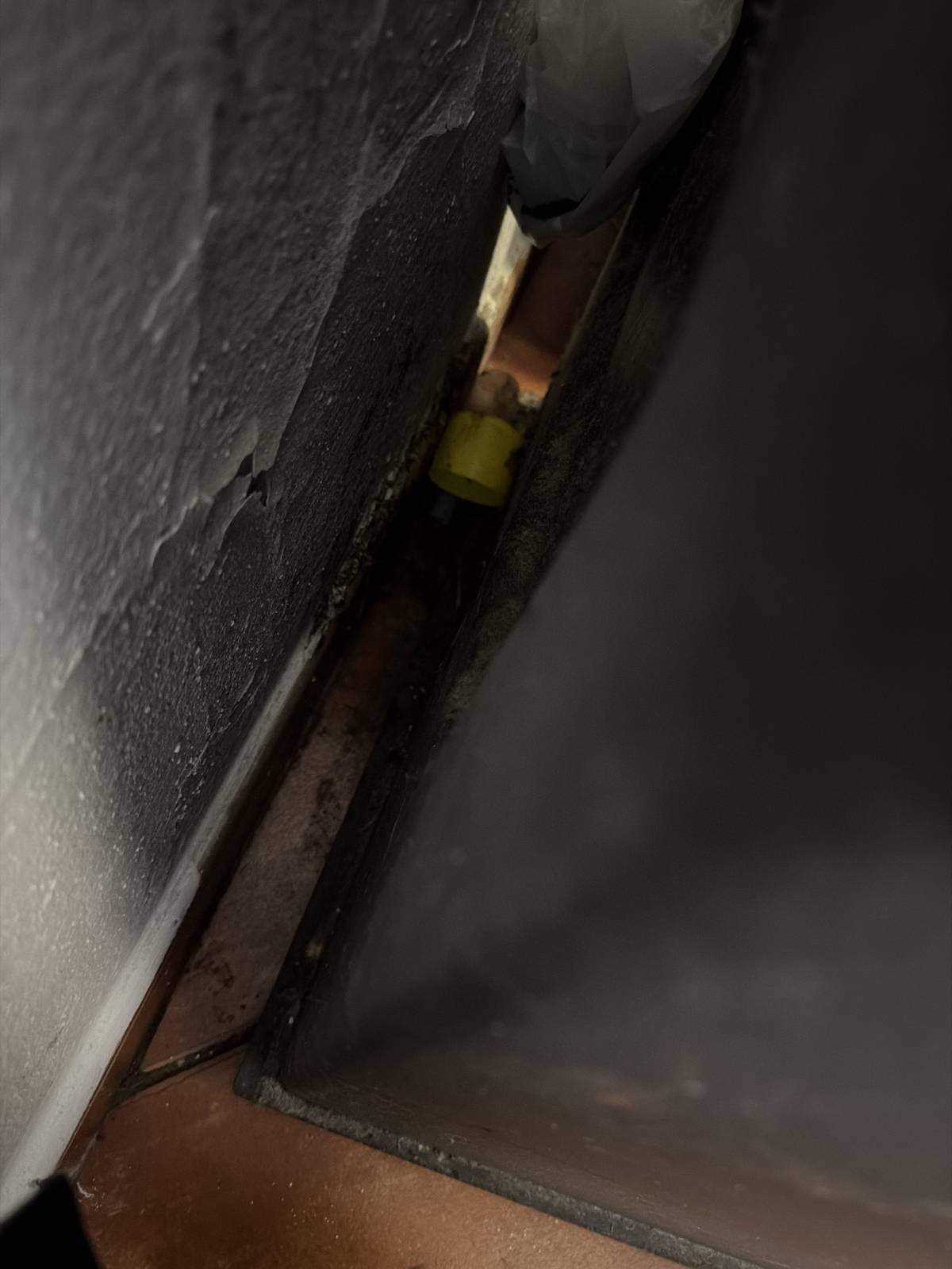 Ménage à domicile récurrent
