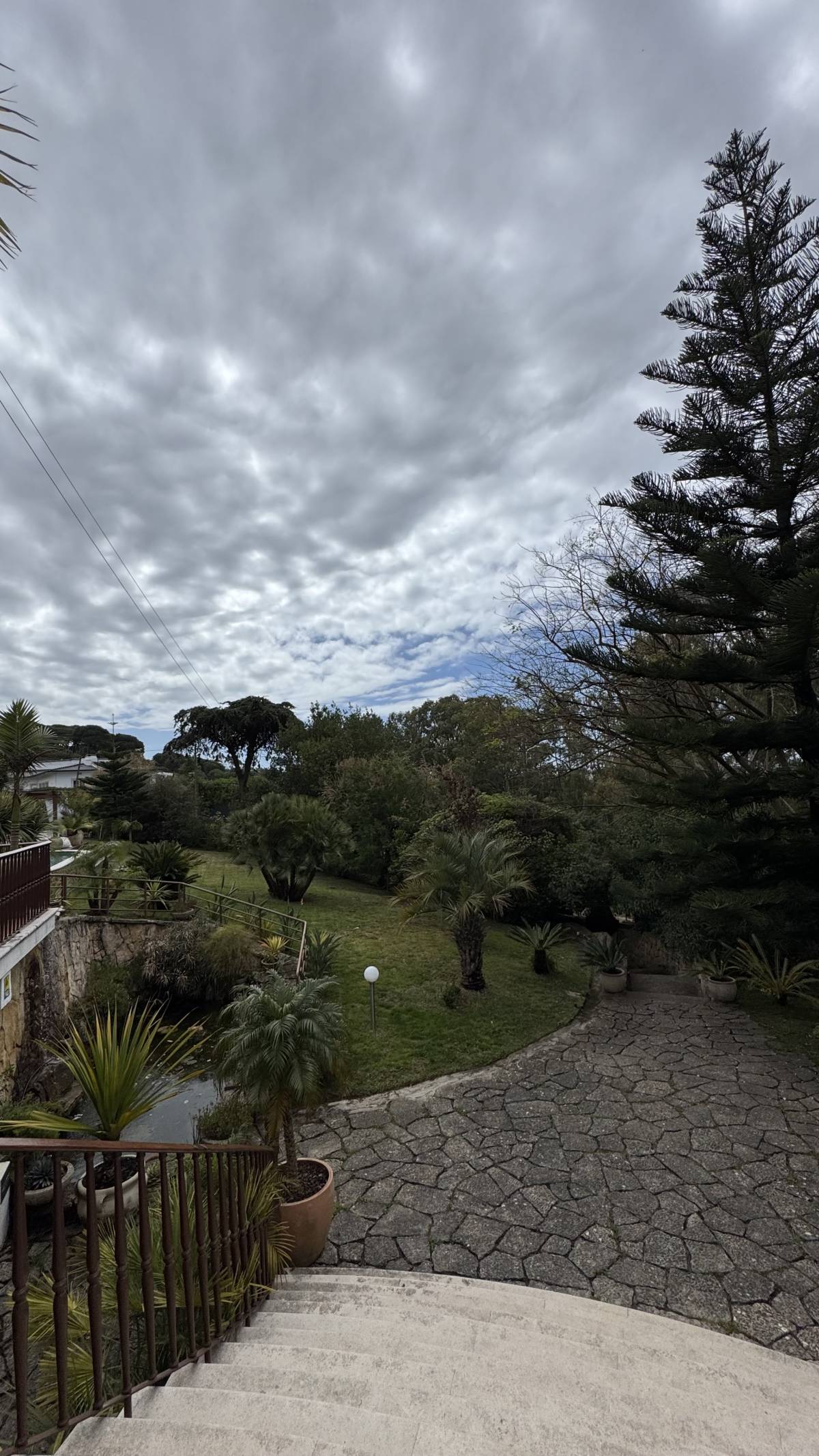SANT GARDEM - Cascais - Baumstumpf oder -wurzel wegfräsen und entfernen