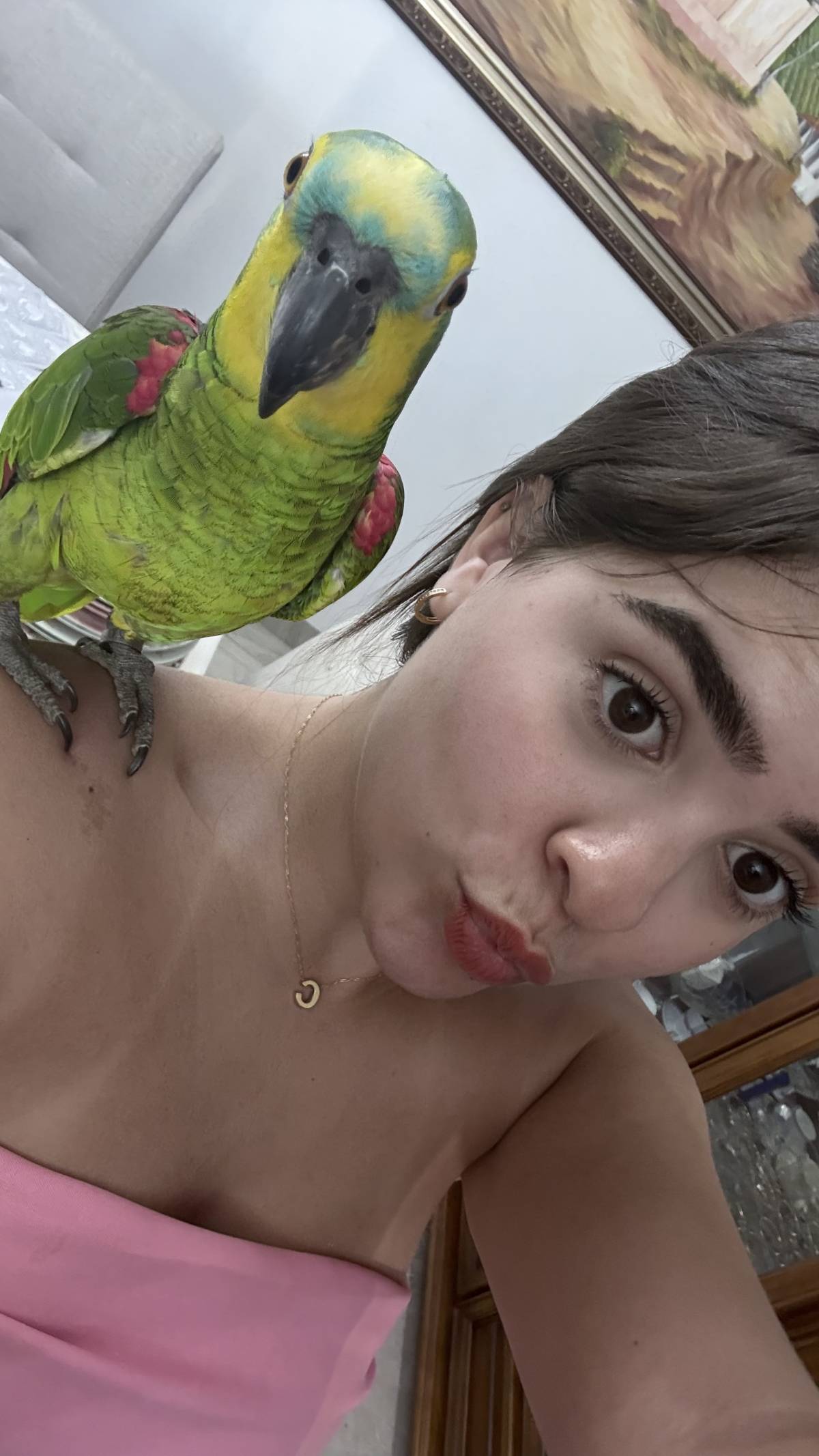 Clarisse Marques - Amadora - Cuidados y paseos de mascotas