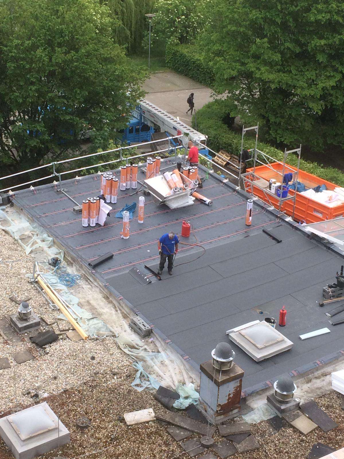 Carlos - Viseu - Roof Cleaning