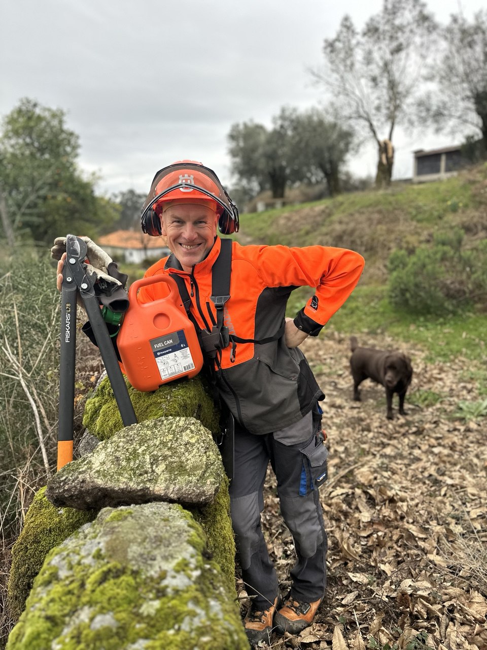The Gardener Andrei - Braga - Tree Stump Grinding and Removal
