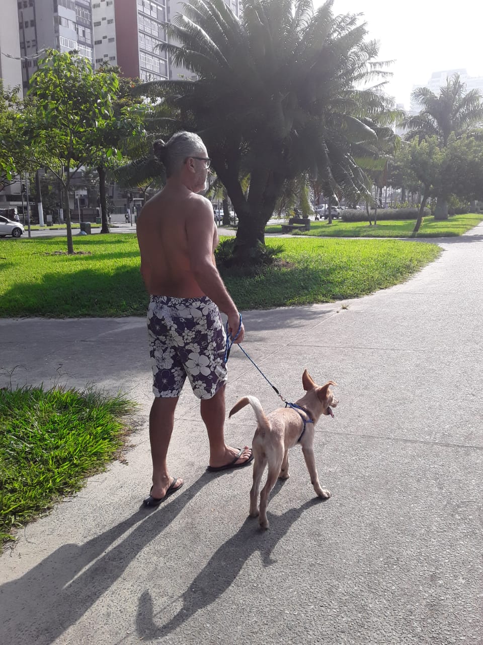 Vladmir Silva - Coimbra - Pet Sitting e Pet Walking