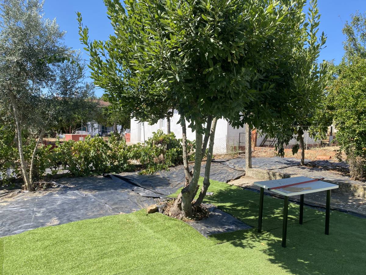 Arbor Nature - Coruche - Corte e Aparação de Relvado