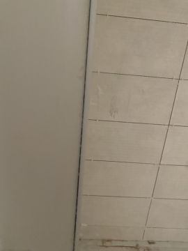 Zeeshan Nazir - Coimbra - Exterior Painting