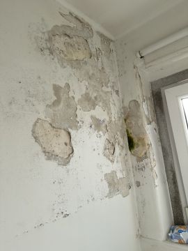 Interior Painter - Home Improvements