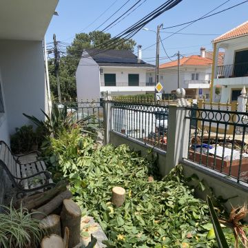 Arbor Nature - Coruche - Tratamento de Relvado