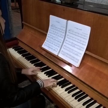 Tutoring - Math and Calculus - Fran Musician - 