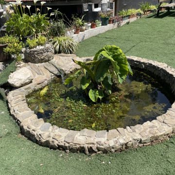 Três T - Felgueiras - Whirlpool und SPA-Bereich Aufbau