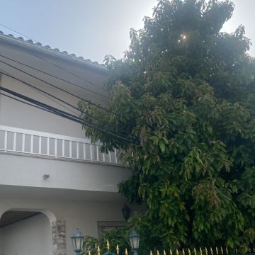 Arbor Nature - Coruche - Manutenção de Sistema de Rega Gota a Gota