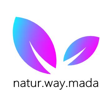 Natur.way.mada - Loures - Tratamento Reiki