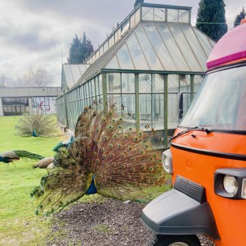 Fiesta Mexicana Portugal Food Truck - Oeiras - Catering para Eventos (Serviço Completo)