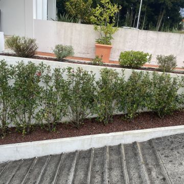 Leandro Coutinho - Esposende - Instalación de sistemas de aspersores