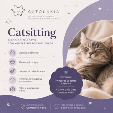 GATOLÁXIA, by Teresa Peixoto - Guimarães - Cat Sitting