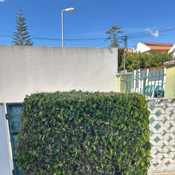 SANT GARDEM - Cascais - Baumpflege