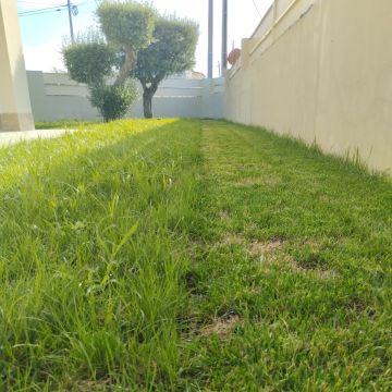 Diogo anjos - Setúbal - Shrub Removal