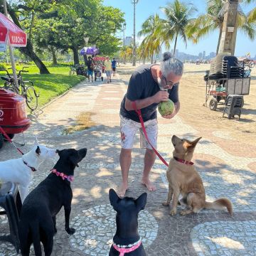 Vladmir Silva - Coimbra - Dog Walking