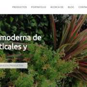 André Miguel Pires - Castro Marim - Spanish Translation