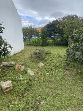 Arbor Nature - Coruche - Poda y mantenimiento de árboles