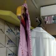 Nusrat - Lisboa - Seamstresses