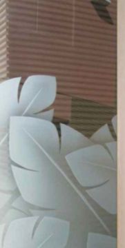 Especialista em Vidros