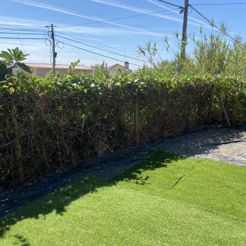 Arbor Nature - Coruche - Nivelação de Terreno - Grande Dimensão (mais de 1 hectar)