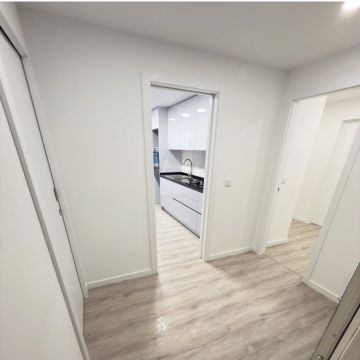 VSHOME - REMODELAÇÕES, LDA - Alcobaça - Remoção de Tronco de Árvore