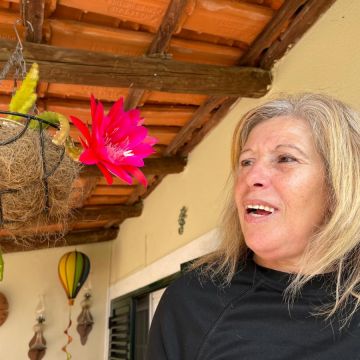 Limpeza - Loulé - Haushaltsdienstleistungen