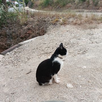 Bia no Mundo Pet - Cadaval - Dog Walking