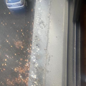 LIMPEX - Braga - Deep or Spring Cleaning