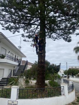 Arbor Nature - Coruche - Instalación de glorietas