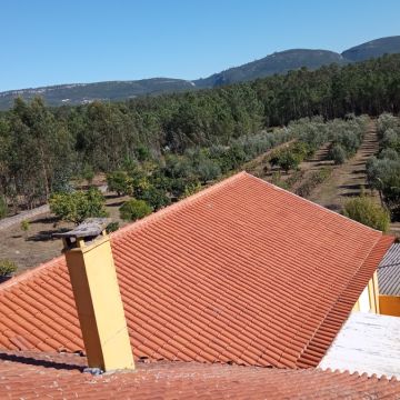 Claudio - Figueira da Foz - Roof Installation or Replacement