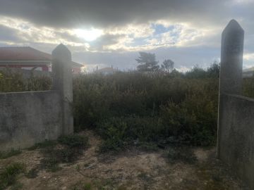 Arbor Nature - Coruche - Instalación de césped artificial