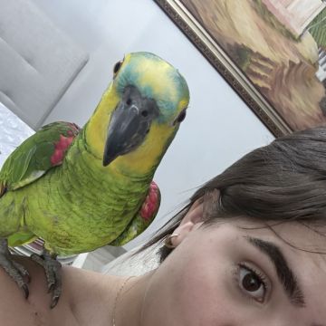 Clarisse Marques - Amadora - Cuidados y paseos de mascotas