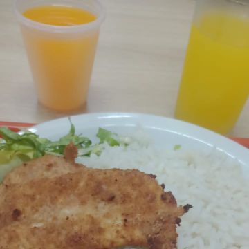 Cuidadora - Pombal - Pension et garderie pour animaux