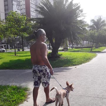 Vladmir Silva - Coimbra - Pet Sitting e Pet Walking