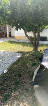 Paisagismo