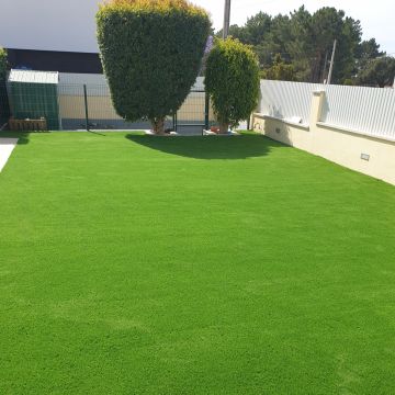 Viva jardins - Torres Vedras - Élagage et entretien des arbres