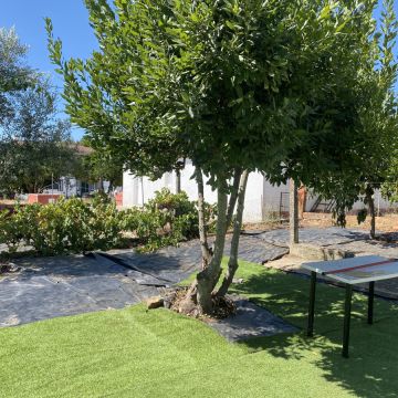 Arbor Nature - Coruche - Corte e Aparação de Relvado