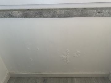 Painting - Home Improvements