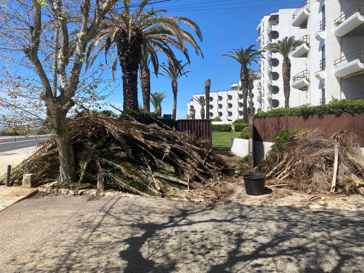 aa.jardins - Cascais - Siding Installation, Repair, or Removal
