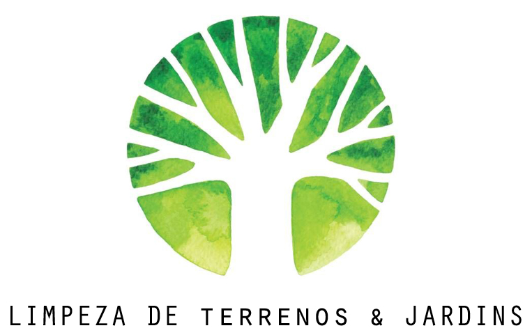 THEMIS - Valongo - Limpeza a Fundo