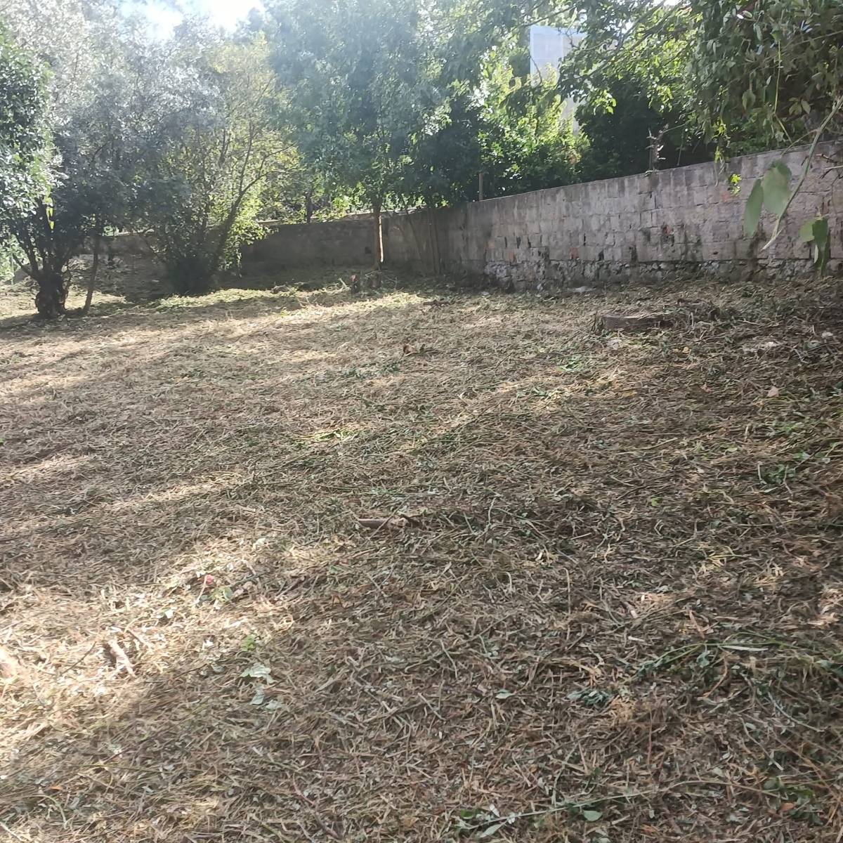 Limpamato - Coimbra - Quitanieves (Residencial)